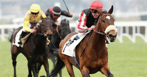 scoop6 races|scoop6 races today.